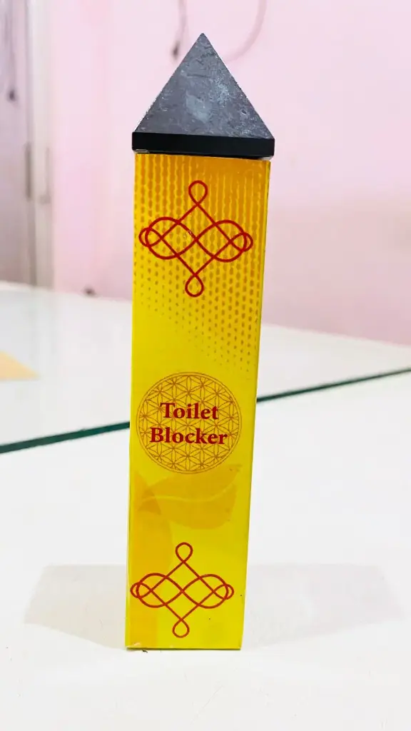 Energized Toilet Pacifier