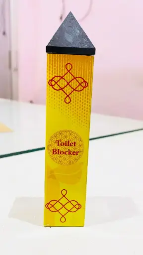 Energized Toilet Pacifier