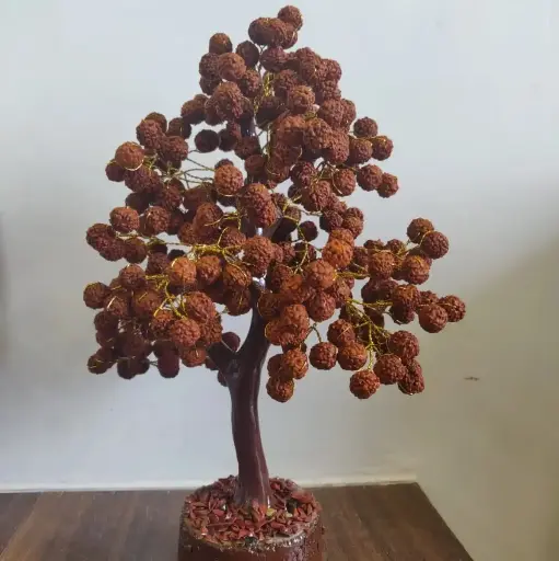 Natural Five Mukhi Rudraksha Tree