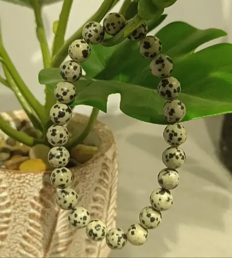 Green Dalmatian Bracelet 8mm AAA+